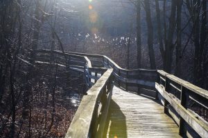 The boardwalk at the Carbon County Environmental Education Center is lit by the morning sunlight Wednesday morning.